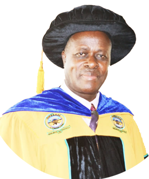 Vice Chancellor